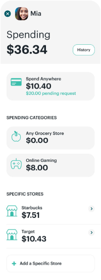 Greenlight's spend dashboard