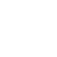 Secure Browsing white icon