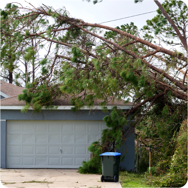 Trees fallen on a house after a thunderstorm.
