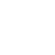 Shipt white icon