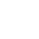 Password white icon