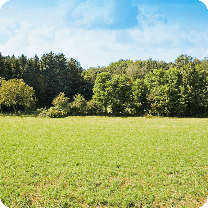 Open green field with trees in the background, representing land-only financing through Guardian CU’s Home Loans program