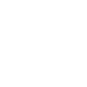 Credit Score white icon