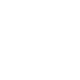 Form white icon
